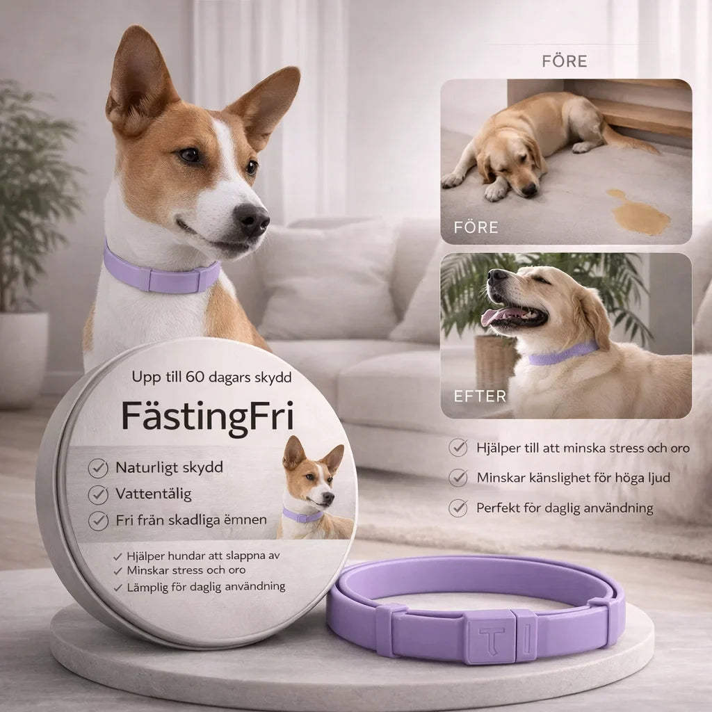 FästingFri – Skydd som håller din hund trygg utomhus